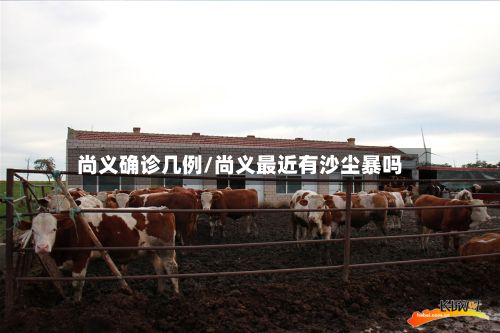 尚义确诊几例/尚义最近有沙尘暴吗-第2张图片