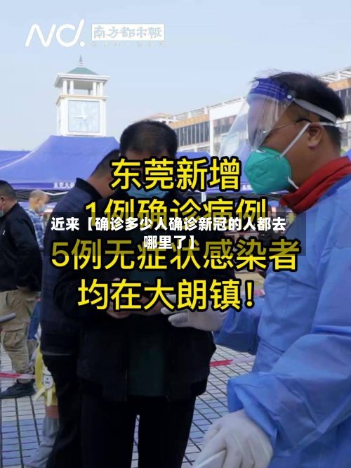 近来【确诊多少人确诊新冠的人都去哪里了】-第2张图片