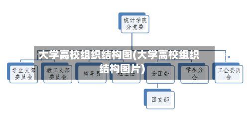大学高校组织结构图(大学高校组织结构图片)-第2张图片
