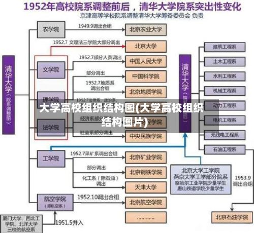 大学高校组织结构图(大学高校组织结构图片)