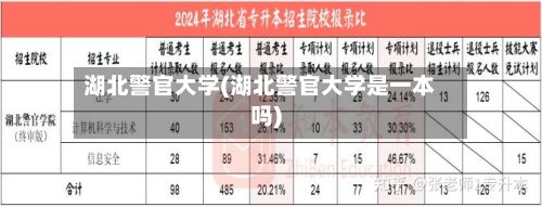 湖北警官大学(湖北警官大学是一本吗)-第1张图片