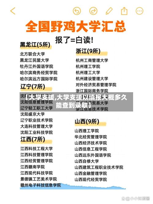 【大学支援,大学支援以填报大概多久能查到录取】-第2张图片