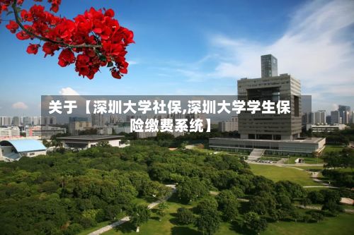 关于【深圳大学社保,深圳大学学生保险缴费系统】