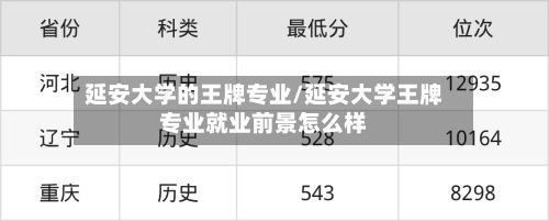 延安大学的王牌专业/延安大学王牌专业就业前景怎么样-第2张图片