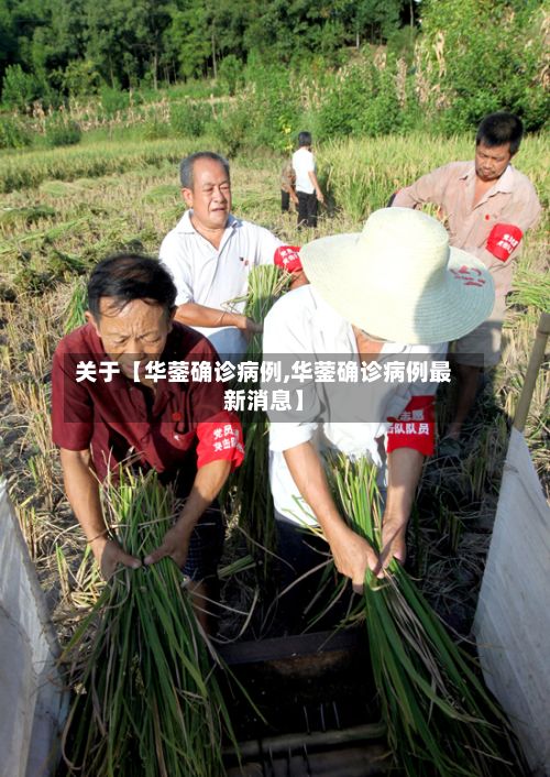 关于【华蓥确诊病例,华蓥确诊病例最新消息】-第2张图片
