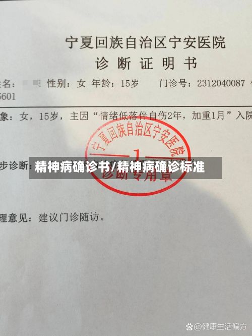 精神病确诊书/精神病确诊标准-第2张图片