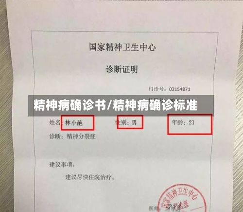 精神病确诊书/精神病确诊标准