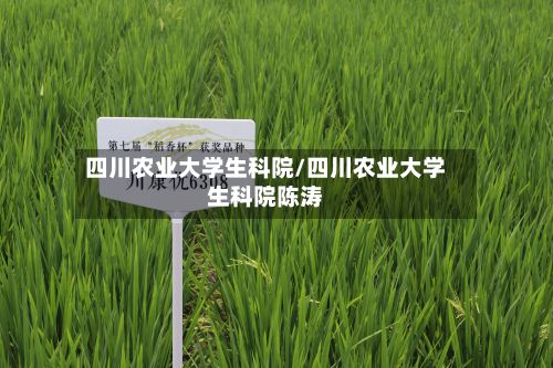 四川农业大学生科院/四川农业大学生科院陈涛