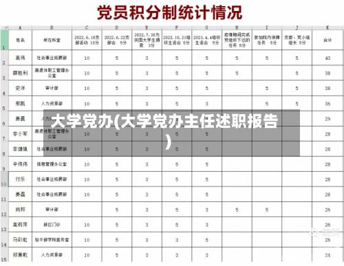 大学党办(大学党办主任述职报告)-第2张图片