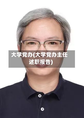大学党办(大学党办主任述职报告)