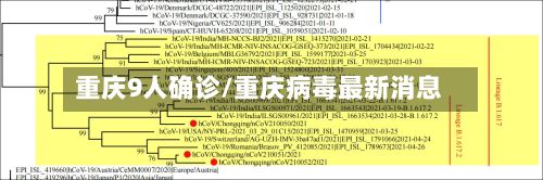 重庆9人确诊/重庆病毒最新消息-第2张图片