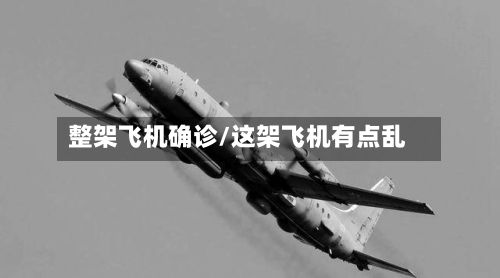 整架飞机确诊/这架飞机有点乱-第2张图片
