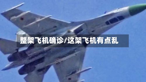 整架飞机确诊/这架飞机有点乱-第3张图片