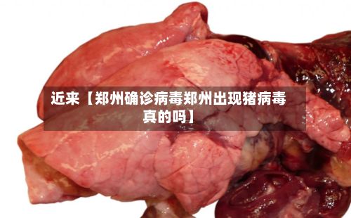 近来【郑州确诊病毒郑州出现猪病毒真的吗】