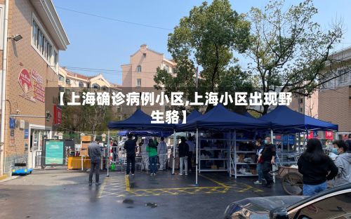 【上海确诊病例小区,上海小区出现野生貉】