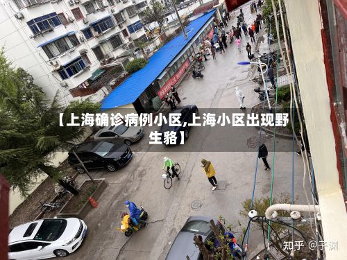 【上海确诊病例小区,上海小区出现野生貉】-第3张图片