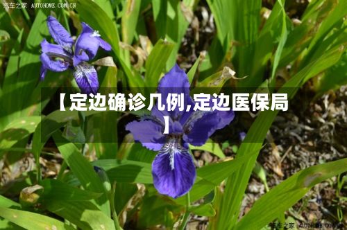 【定边确诊几例,定边医保局】-第2张图片