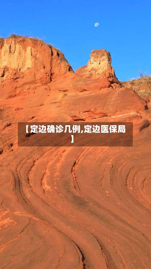 【定边确诊几例,定边医保局】