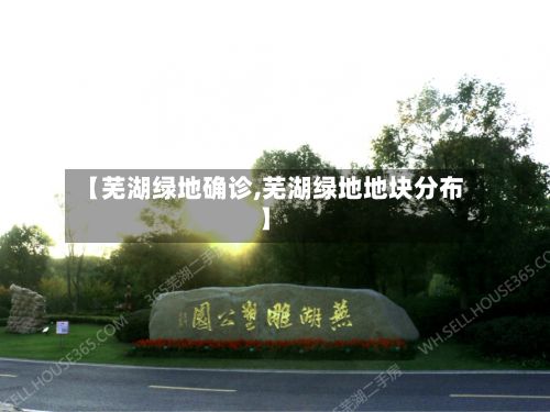 【芜湖绿地确诊,芜湖绿地地块分布】
