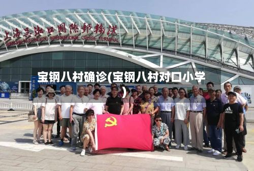 宝钢八村确诊(宝钢八村对口小学)-第1张图片