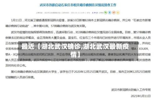 最近【湖北武汉确诊,湖北武汉最新疫情】-第2张图片