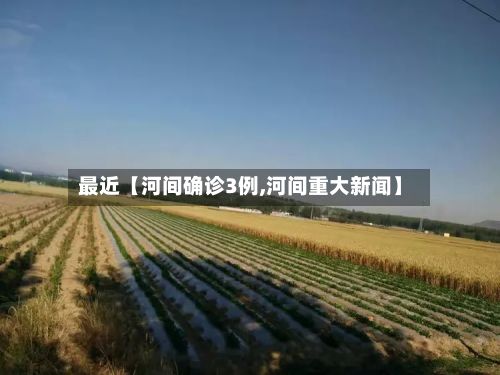 最近【河间确诊3例,河间重大新闻】-第2张图片