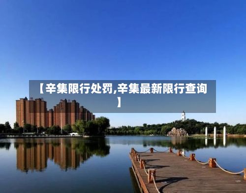 【辛集限行处罚,辛集最新限行查询】