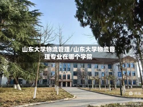 山东大学物流管理/山东大学物流管理专业在哪个学院
