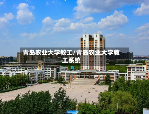 青岛农业大学教工/青岛农业大学教工系统-第3张图片