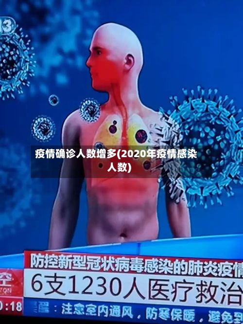 疫情确诊人数增多(2020年疫情感染人数)-第2张图片