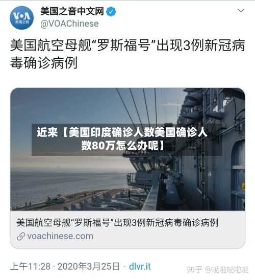 近来【美国印度确诊人数美国确诊人数80万怎么办呢】-第3张图片