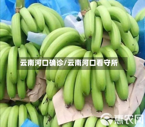 云南河口确诊/云南河口看守所-第2张图片