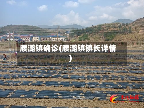 腰潞镇确诊(腰潞镇镇长详情)-第2张图片