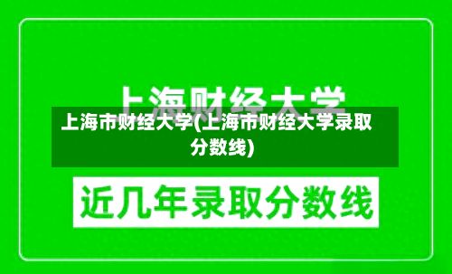 上海市财经大学(上海市财经大学录取分数线)