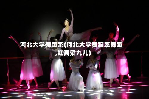 河北大学舞蹈系(河北大学舞蹈系舞蹈,红高粱九儿)