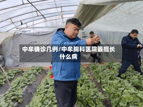 中牟确诊几例/中牟胸科医院最擅长什么病