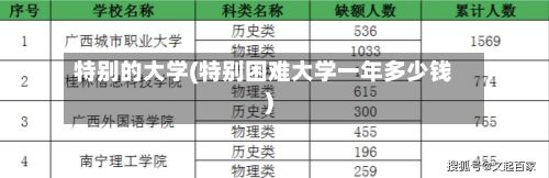 特别的大学(特别困难大学一年多少钱)-第2张图片