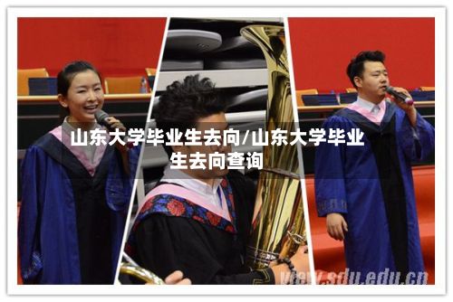 山东大学毕业生去向/山东大学毕业生去向查询-第2张图片