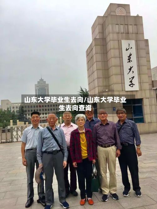 山东大学毕业生去向/山东大学毕业生去向查询