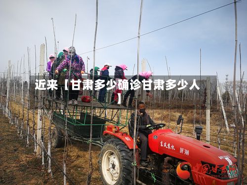 近来【甘肃多少确诊甘肃多少人】-第3张图片