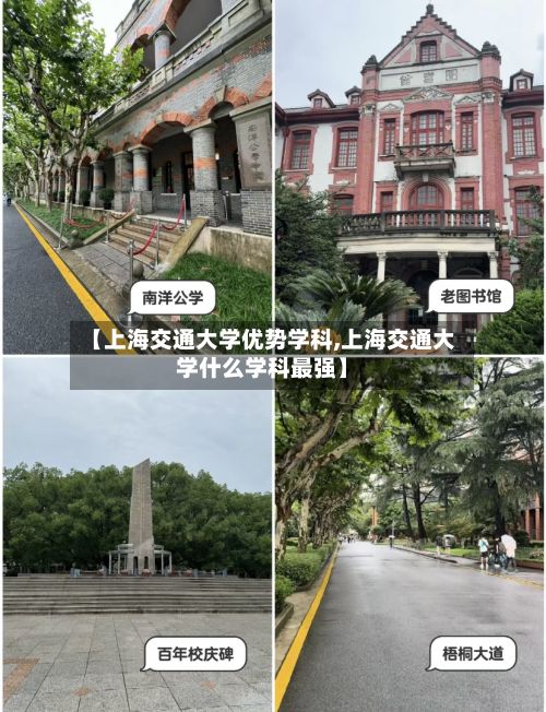 【上海交通大学优势学科,上海交通大学什么学科最强】-第3张图片