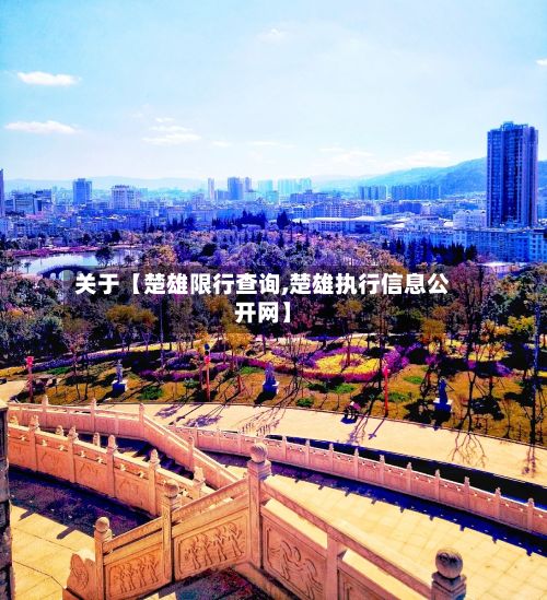 关于【楚雄限行查询,楚雄执行信息公开网】-第2张图片