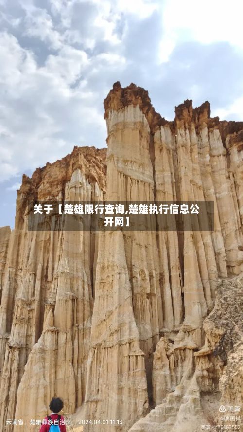 关于【楚雄限行查询,楚雄执行信息公开网】
