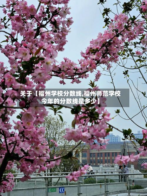 关于【福州学校分数线,福州师范学校今年的分数线是多少】-第2张图片