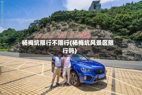 杨梅坑限行不限行(杨梅坑风景区限行吗)-第2张图片