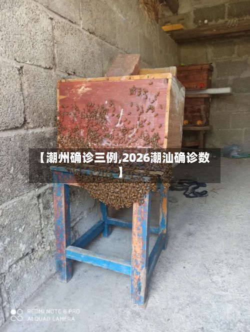 【潮州确诊三例,2026潮汕确诊数】