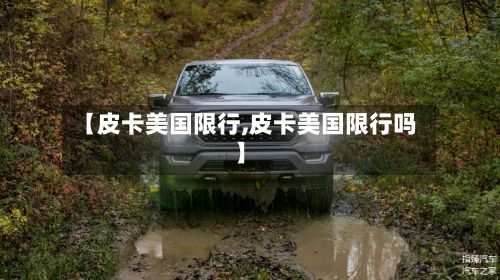 【皮卡美国限行,皮卡美国限行吗】