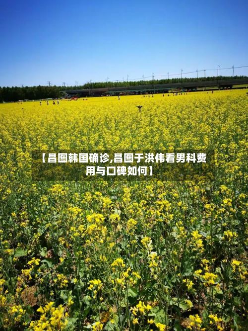 【昌图韩国确诊,昌图于洪伟看男科费用与口碑如何】