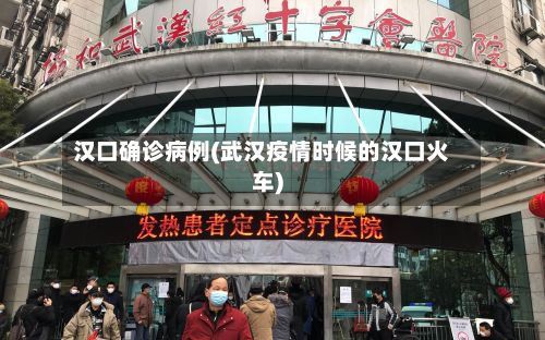 汉口确诊病例(武汉疫情时候的汉口火车)-第3张图片