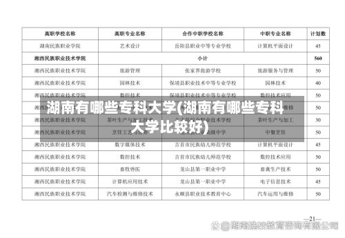 湖南有哪些专科大学(湖南有哪些专科大学比较好)-第3张图片